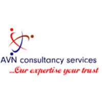 AVN Consultancy Services Pvt Ltd logo - Similar company to Hubble