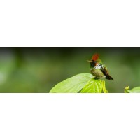 RH DESIGN COMPANY logo - Similar company to Solutio Rh