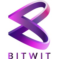 Bitwit Technologies logo - Similar company to Madnetech