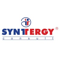 SYNTTERGY Consult logo - Similar company to Open Mind Laboratory