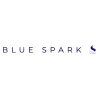 Blue Spark Consulting logo - Similar company to Learning Journey