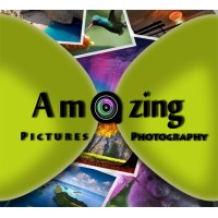AmazingPandph Digital Media Management logo - Similar company to Gifted