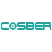 Cosber Technology logo - Similar company to Pitzone