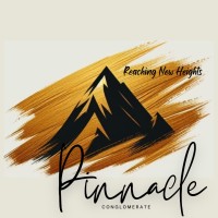 Pinnacle Conglomerate (PTY) LTD logo - Similar company to Flexylearn