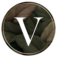 Vision by Milstead and Hayter logo - Similar company to Georgette Black