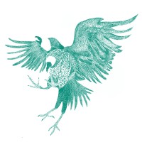 Gallinazos Cine logo - Similar company to Highend (Pe)