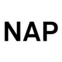 NAP logo - Similar company to Innocad Architecture