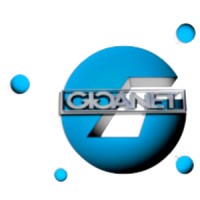 GIGANET SERVICES logo - Similar company to Who'S That Founder
