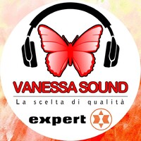 VANESSA SOUND EXPERT logo - Similar company to C.Borgomeo&Co