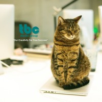 Tbc Media Group Llc
