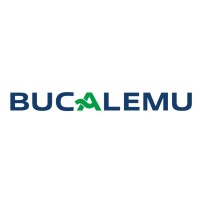 Bucalemu Lanchas Ltda. logo - Similar company to Surglobal