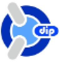 Desarrollo Ingenieria Y Produccion - Dip