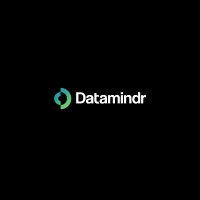 Datamindr logo - Similar company to Dash-Verse.Io