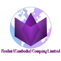 Roshni (Cambodia) Company Limited logo - Similar company to Teams