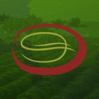 Alta Mogiana Specialty Coffees logo - Similar company to Grupo De Estudos Em Cafeicultura - Gecaf/Unifeob