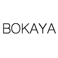 Bokaya Trade LTD logo - Similar company to Karakum Soft