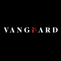 Vanguard logo - Similar company to Ibertec, Sa