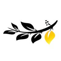 Lucullan Properties Ltd
