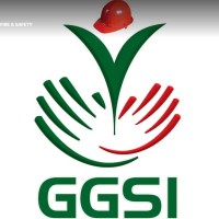 Green Global Safety Systems logo - Similar company to Tile Dynamix