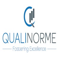 QUALINORME logo - Similar company to Naitech Consult