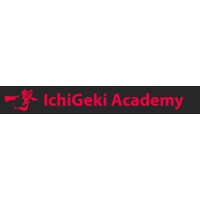 Ichi Geki Academy logo - Similar company to Karateschule Imeri