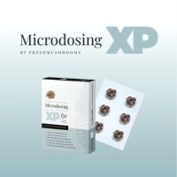 Fresh Mushrooms BV/Ltd. logo - Similar company to Truffleat       “ Truffle It “