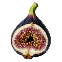 The Fig Tree Magazine logo - Similar company to Studio Naua