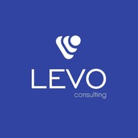 LEVO Consulting logo - Similar company to Vigilantium
