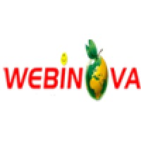 Webinova E-commerce Solutions LLP logo - Similar company to Mavinzent Technologies