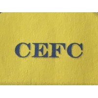 COST ESTIMATING AND FINANCE CONSULTANTS LIMITED
