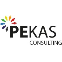 PEKAS consulting logo - Similar company to Pekas.