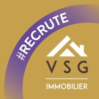 VSG - Villeneuve Services et Gestion logo - Similar company to Enyter
