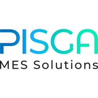 Pisga MES Solutions logo - Similar company to King David