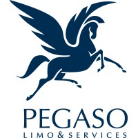 Pegaso Limo & Services logo - Similar company to Vipclass