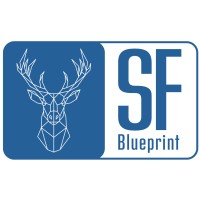SFBlueprint logo - Similar company to Demanu.