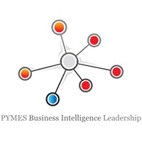 PYMES Business Intelligence Leadership logo - Similar company to Energy Intelligence
