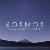 COSMOS logo - Similar company to Mobitel Global