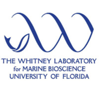 Whitney Marine Lab-University of Florida logo - Similar company to Metacato, Inc.