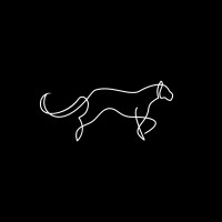 Panthera Designs logo - Similar company to Project 808 Ltd