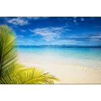 The Beach Group Ltd logo - Similar company to Black Diamond Holding Group