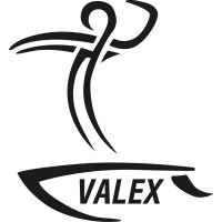 Grupo Valex logo - Similar company to Innova Renting S.A.S