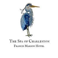 The Spa of Charleston logo - Similar company to Parlay Vous