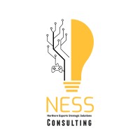 NESS Consulting logo - Similar company to Tangled Ventures Pty Ltd