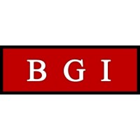 BGI Resources International Corp logo - Similar company to Nekey