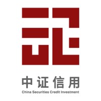 中证信用 logo - Similar company to Csci Technology