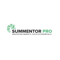 Summentor Pro Business Consultants logo - Similar company to Viggify