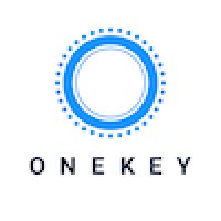 Onekey logo - Similar company to Drivesec