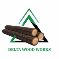 Delta Wood Works Ethiopia logo - Similar company to Cini Solution