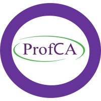 Professional Creativity Academy logo - Similar company to Argenesis