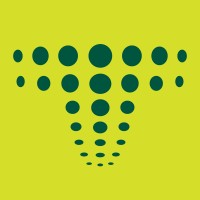 Teamy | تيمي logo - Similar company to Sirajtech